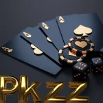 pkzz game